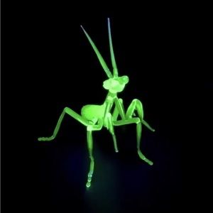 Uranium Vaseline Glass